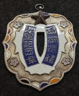 Ww Ii China 1931 Manchurian Incident Silvering Enamel Copper Commemorative Medal