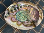 Natural Iridescent Abalone Shell Smudging Bowl Trinket Dish Incense Burner