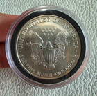 U s  Mint 2006 American Silver Eagle  1 1 Oz  999 Silver Bullion W  Holder