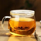 Clear Glass Tea Cup With Infuser And Lid  Borosilicate Large Tea Cup mug  17 6oz