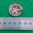 Ww2 South African Indian Malay Native Corps Badge East Africa Union Defence Udf