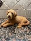 Adorable Vtg Brown Lab Dog Goat Fur Real Like Life Like Pet 9 5  L X 5 75    H 