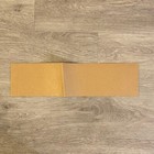 Vintage Cleveland Browns Bumper Sticker Nfl Whk 1420