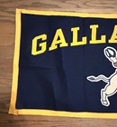 Nice Gallaudet University Large Rectangle Banner  School Mascot  36  X 17 3 4 
