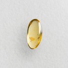 Lizard Skin In Burmese   Burmite Amber Fossil   100  Genuine 