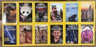 Vintage National Geographic Magazine 1993 Full Year - 12 Issues Plus 3 Maps