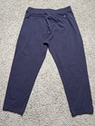 Public Rec Gamechanger All Day Jogger Pants Mens Size 40x30 Purple Athleisure