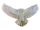 Magical Carved Mother Of Pearl Extra Large Flying Owl Shamanic Power Pendant
