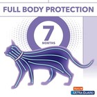 Hartz Ultraguard Flea   Tick Collar For Cats   Kittens 7 Months Protection  1ct 