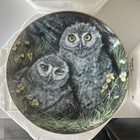 Baby Owls Plate Collection Dick Twinney Danbury Mint  Set Of 8