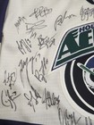 Vintage Youth Houston Aeros Signed S p Official Ihl Hockey Replica Jersey-no Coa