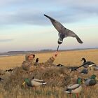 Avery Ghg Greenhead Gear Super Flag Canada Goose Hunting Duck Decoys Power