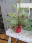 Small Antique Wood Box Green Milk Paint Jolly Ole St Nick W Christmas Tree
