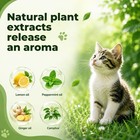 Cat Repellent Outdoor   Indoor  Natural Peppermint Oil Cat Deterrent Outdoor    