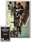 Pack Of 100 Bcw Acid Free Archival 2 Mil Postcard Poly Sleeves - 3 11 16 X 5 3 4
