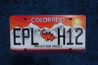 Colorado Dinosaur Orange Graphic License Plate - Protect Our Fossils