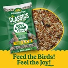 Pennington Classics Dove   Quail Food  Wild Bird Seed Mix  5 Pounds