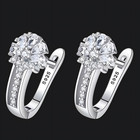 925 Sterling Silver-plated Zircon Flower Earrings Women     Sparkling Floral 853