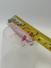 Takara T-arts Buck Tooth Axolotl Salamander Fish Animal Mini Figure