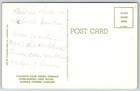 Theme florida colorful Palm Dining Terrace   Cypress Gardens vintage Postcard
