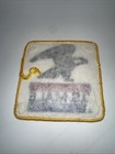 Vintage Us Male Post Office Eagle Mail Postal Worker Novelty Logo Patch 1970s