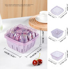 Berry Basket For Fridge  3-in-1 Berry Keeper Container With Colander   1 1 Qt   