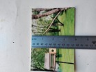 Vtg Found Color Original Photo Bird In Clear Glass Bird Feedrr Snapshot Woods 