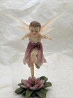 Faerie Glen Primafae Fg854 Fairy Figurine By Munro Enterprises 2006