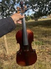 A Good Neuner And Hornsteiner Lionshead Violin 1850