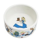 Disney English Ladies Alice In Wonderland Oyster Mini Treasure Box Muprtb28701