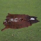 100  Real Natural Area Cow Hair On Cowhide Skin Floor Rug Carpet 69 x56   Cc1416