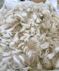 3 Pounds Llama Wool  Free Shipping  Fine Fiber  Sustainable  Natural And Organic