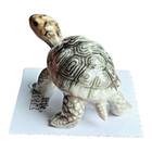 Little Critterz Turtle Galapagos Tortoise  darwin  Miniature Figurine New Lc330