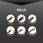 Eliminator Wasp And Hornet Killer3  17 Ounce  3 Pack   