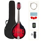 Ktaxon  8 Strings 4 Type Mandolin Bundle Kit   Tuner String Gig Bag Picks