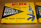 2 Vintage Milben Scientifically Prepared Slides Organs Of Mammals   Insect Parts