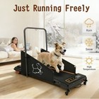 Dog Treadmill For Medium Dogs - Dog Pacer Treadmill To Keep Pets Healthy Active