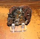 95 Gm Sericho Pallasite Meteorite Slice From Kenya Stand Olivine Jal
