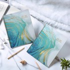 2027-2028 Monthly Planner - Jan  2027 To Dec  2028  9  X 11   Spiral Bound Wi   