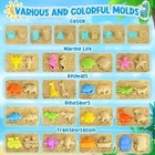 Beach Toys  31pcs Sand Toys  Sandbox Toys With 2 Truck 2 Collapsible Sand Bucket
