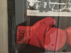 Autographed Mike Tyson Boxing Gloves And Picture In Shadow Box