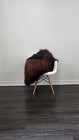 Icelandic Sheepskin Rug   Sheepskin Rug   Soft Silky Long Wool  c133