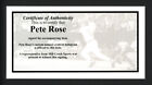 Pete Rose Autographed Signed 8x10 Photo Cincinnati Reds Pr Holo Stock  229040