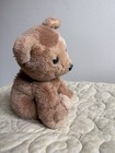 Vintage 1976 R Dakin Baby Bearfoot Teddy Bear Cub Plush  Stuffed Animal