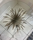 Vintage Mid Century Sheaf Of Wheat  End Table With 1 4    Beveled Glass Top