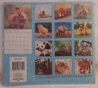 2026 Baby Animals Wall Calendar - New