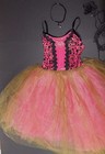 Gold Touched Romantic Length Ballet Costume Rose Scrollwork Bodice 5 Tr Tutu