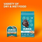 Iams Proactive Health Adult Indoor Weight Control   Hairball Care Dry Cat Food W