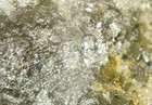 Hedleyite - Ex  Cureton - Good Hope Mine  Hedley  British Columbia  Canada