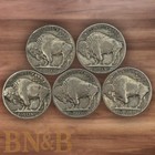 Lot Of 5 Buffalo Nickels Full Date Random Dates Random Mint Marks